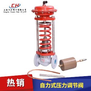 自力式壓力調節(jié)閥圖片